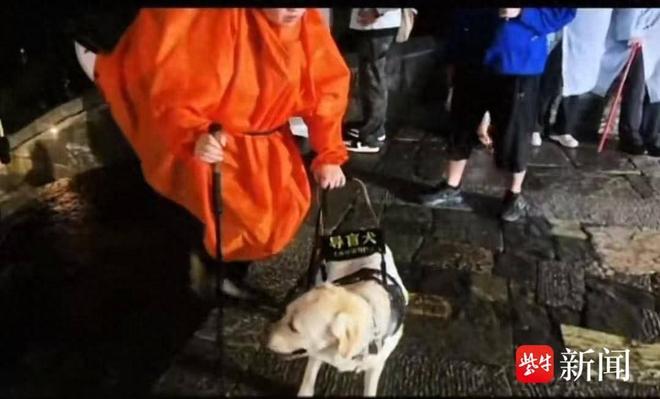 议业内人士：导盲犬能否登山需经专业综合评