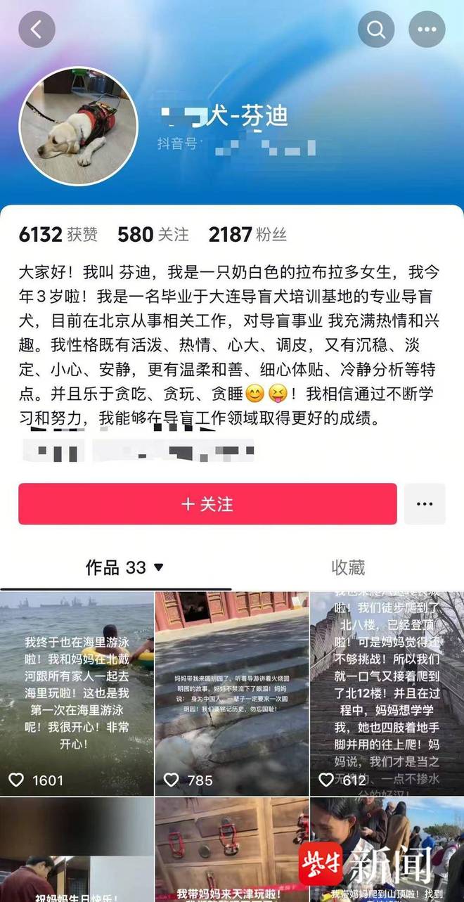 议业内人士：导盲犬能否登山需经专业综合评估新葡京娱乐视障人士携导盲犬雨夜爬泰山引争(图2)