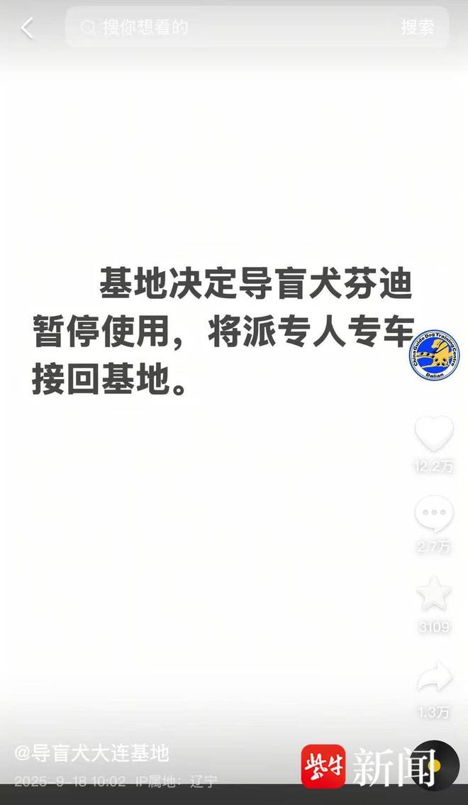 议业内人士：导盲犬能否登山需经专业综合评估新葡京娱乐视障人士携导盲犬雨夜爬泰山引争(图3)