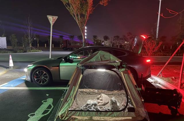 关注 专家：鼓励探索精神 但安全是前提新葡京网上赌场年轻人旅游带帐篷过夜引(图2)