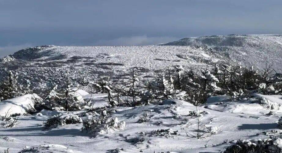 险小心这些“夺命雷区”澳门新葡京网页新业