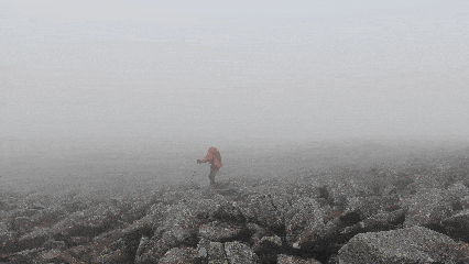 险小心这些“夺命雷区”澳门新葡京网页新业态风(图5)